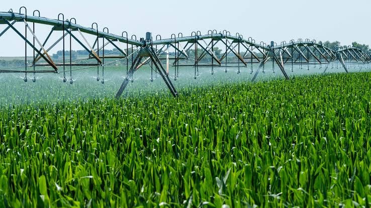 solar-hydro hybrid gives irrigation communities a built-in battery